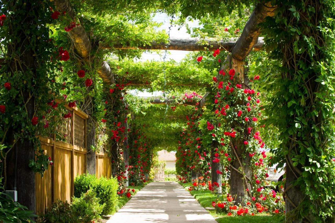 South Coast Winery Resort & Spa Temecula Extérieur photo